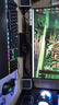 【准新机】雷蛇Razer炼狱蝰蛇标准V2专业版笔记本电脑游戏电竞有线鼠标无线蓝牙高速RGB幻彩鼠标 【有线】蝰蛇标准版新款-黑色 实拍图