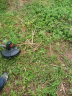 普朗德（PUANGD）电动割草机家用手持打草机锂电草坪机除草神器电动工具 晒单实拍图