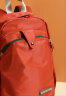 FOUVOR休闲女士双肩包时尚女包牛津布轻便旅行背包大容量电脑包学生书包 栗子红 小款 实拍图