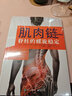肌肉链：脊柱的螺旋稳定 实拍图