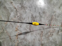 川泽大黄蜂夜光漂咬钩变色鲫鱼漂高灵敏纳米醒目漂大物电子漂夜钓浮漂 2代2-7号【草鳊翘嘴】吃铅：3.2g 咬钩变色（单支装+电池） 实拍图