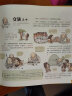 我们的神话：画给孩子的中国神话传说-中国人漫画科普-洋洋兔童书（3-6岁） 实拍图