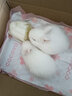 朗缤 兔子活体宠物兔活体新西兰肉兔公主兔小白荷兰侏儒活物兔子宠物 白色侏儒公主兔2只 实拍图