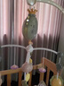 MOONCHILD高端儿童玩具婴儿床头摇铃益智宝宝新生儿安抚挂件送孩子生日礼物 遥控充电版【轻奢灰】 实拍图