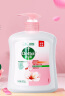 滴露（Dettol）健康抑菌洗手液滋润倍护500g 消毒抑菌99.99% 儿童适用不含酒精 实拍图