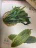 认物大全 儿童早教启蒙书 儿童绘本 婴幼儿启蒙认知早教书 0到3岁2岁宝宝益智书籍 一岁半宝宝看的书 图书书本识字卡片两三岁看图识物 认物大全 600例 实拍图