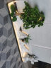 皇驰 白石子鹅卵石铺面石园艺盆栽造景庭院铺路白石子 50斤装批量定制 实拍图