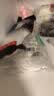 邦尼世家千层布鞋垫男女防臭舒适透气吸汗休闲运动新疆棉四季鞋垫 6双装 42码 实拍图