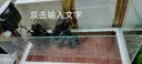 爬将军新款鱼缸生态超白玻璃缸家用客厅办公室桌面养金鱼斗鱼水族箱造景 80CM缸【世外桃源套餐】+养鱼大礼包 实拍图