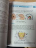 组织学与胚胎学（第9版/本科临床/配增值） 实拍图