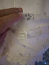 翘脚鸭 婴儿衣服新生儿连体衣宝宝睡衣贴身打底秋冬季刚出生春秋款内衣 黄小熊2件【夏季薄款】 80cm 【建议9-12个月重18-22斤】 实拍图