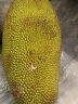 果当爱 海南菠萝蜜 整个装25-30斤特大果脆甜黄肉老树 新鲜水果源头直发 晒单实拍图