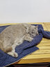 怡亲 膨润土猫砂 10kg 猫沙20斤 宠物猫 猫咪猫砂盆用 怡亲原味10kg*1包 实拍图