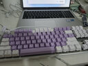 本手机械键盘有线键鼠套装 紫色键盘鼠标猫耳朵耳机三件套 背光可爱男女生办公台式电脑笔记本电竞游戏 紫白-混光红轴两件套【键盘+鼠标】 实拍图