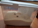 JEKO&JEKO装米桶密封米箱防虫米缸储物罐大米面粉粮食收纳盒透明储米桶20斤 实拍图