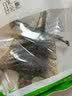 蛤蚧一对带头足（2只）蛤蚧精制中药材 gejie进口哈蚧补肺益肾纳气定喘助阳益精 泡酒中药材店铺 一对/两只（特大号肩宽约15-16cm） 实拍图