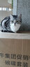 玫斯猫粮（metz）幼猫/成猫猫粮猫全猫粮增肥奶糕英短美短全价美毛 升级款成猫（6.8KG） 实拍图