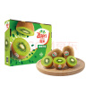 佳沛（zespri）绿奇异果10个装 宝宝果单果约80-89g 端午节水果礼盒 猕猴桃 实拍图
