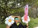 MQDMINI童装儿童T恤男童长袖t恤中小童打底衫外出衣服 恐龙狮子AB面 实拍图