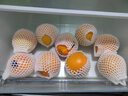 译优农海南青金桔小青柠小青柑奶茶店小金桔小青桔新鲜水果 3斤海南青金桔【饭店装】 实拍图