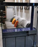 江彩鱼缸客厅大型水族箱落地隔断墙家用办公室底过滤超白玻璃鱼缸定制 鱼缸属性定制定做 实拍图