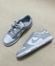 耐克【滔搏运动】NIKE男子NIKE DUNK LOW RETRO板鞋复刻鞋 DD1391-103 41 实拍图