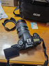 佳能（Canon） EOS 90D套机/6D MarkII 6d2 单反相机 佳能90d  vlog数码相机 佳能90D单机身+EF24-105F4二代拆镜头 套餐三【128G高速卡~双电双充~旅行滤 实拍图
