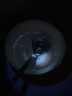 WarsunWL01猫藓灯伍德氏荧光检测紫光紫外线365nm手电筒照猫尿 晒单实拍图