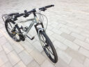 凤凰自行车成年人男女变速自行车青少年单车越野公路车学生山地自行车 铝架/蓝图变速/正新轮胎/六刀灰 30速26寸【适合155-185cm】 实拍图