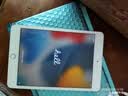 Apple苹果iPad mini5/6 iPadair3/4 2021款iPadPro二手平板电脑 iPad mini5 插卡 256G WIFI版 99成新 实拍图