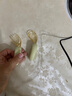 albo儿童勺子宝宝学吃饭餐具PPSU叉勺套装婴儿硅胶短柄训练辅食勺 实拍图