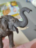 思乐（Schleich S）仿真动物模型 老虎狮子狼豹白虎猞猁男女孩儿童玩具生日礼物3+ 母狮子14825 实拍图