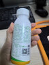 乐百氏（robust）生榨椰汁245mL*10整箱植物蛋白饮料正宗鲜椰奶水椰汁饮料 网红生榨椰汁245ml*10/箱 实拍图