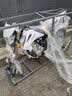 赛摩（saimo）越野机车250动力越野车两轮赛摩越野林道R8竞技车全新整车可上牌 水冷250cc（可上牌） 整车全款 实拍图