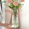 吕姆克玻璃花瓶插花瓶干花仿真花客厅桌面书房富贵竹花瓶大号高30CM5050 实拍图