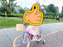 奥仕龙x迪士尼联名自行车儿童3-6岁小孩单车4-8岁公主款儿童自行车 艾莎公主-后座-礼包 16寸 适合100-120cm 晒单实拍图