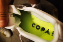 阿迪达斯 （adidas）男女 足球系列 COPA PURE.3 2G/3G AG 足球鞋 IF0210 40码UK6.5码 晒单实拍图