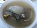 秋季 鲜活生态外塘生长食用大甲鱼生鲜鱼冷水团鱼王八鳖活体生鲜活鲜 2.0-2.2斤外塘野养老鳖 实拍图