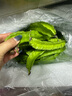 卡布诺海南三亚特产四角豆新鲜四棱豆香龙豆角蔬菜应季生鲜现摘顺丰 3斤 实拍图