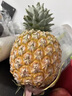 沐瑾正宗海南芒果凤梨菠萝台农23号金芒凤梨当季现发孕妇新鲜水果整箱 2.5斤-3斤丨小果丨2-3个丨含箱 实拍图