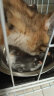 麦富迪猫粮 超肉粒冻干双拼粮10kg 幼猫（冻干三文鱼） 实拍图