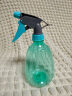喷壶浇花浇水喷雾器气压式喷水壶家用园艺养花500ml 南瓜喷壶透蓝【1个装】 实拍图