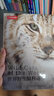 世界野生猫科动物（你一定要收藏的野生大猫家谱画册！“猫盟”翻译，探寻野生猫科动物种群之间的关联，漫谈它们的家族秘史和趣闻，体验有温度、有意思的科学研究！） 实拍图