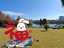 顺优 野餐垫 户外郊游防潮垫踏青垫子加厚野炊草坪地垫露营野餐布餐垫 【超声波】可爱领结熊2m*2m 实拍图