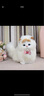 亦趣仿真猫玩偶会叫小猫咪毛绒玩具摆件可爱猫咪公仔儿童生日新年礼物 黄头会叫猫咪+领结 实拍图