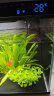 米家（MIJIA）小米米家智能生态鱼缸半年免换水专业级背滤系统全色域灯光补仓一次三月无忧出差旅行必备 晒单实拍图