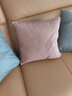 芝华士皮沙发抱枕科技布轻奢客厅靠枕套现代靠垫腰枕大防水北欧 浅灰色 45cm*45cm 枕套 (+三维棉内芯) 实拍图