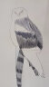辉柏嘉（Faber-castell）彩铅水溶性彩色铅笔绘画套装画画工具儿童礼物 艺考考试72色+72孔笔帘升级款 实拍图