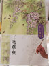 墨点 工笔技法解析与原大画稿 成人手绘工笔草虫国画入门教程教材图书工笔画临摹 晒单实拍图