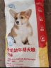 珍宝（SANPO）高钙多维牛肉味全犬种成犬粮 通用狗粮6kg（1.5kg*4袋组合装） 实拍图